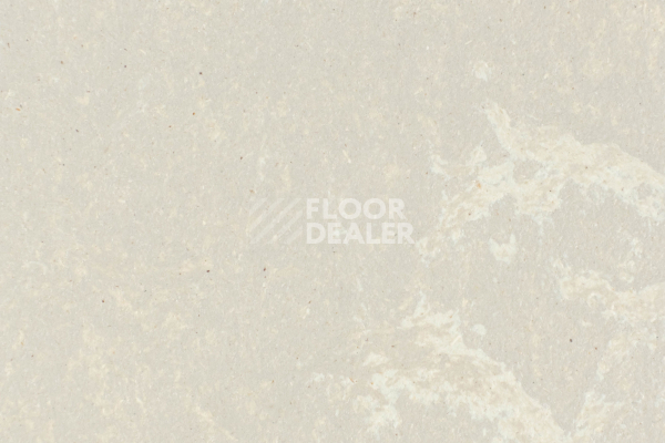 Линолеум Forbo Marmoleum Solid Concrete 3708-370835 fossil фото 1 | FLOORDEALER