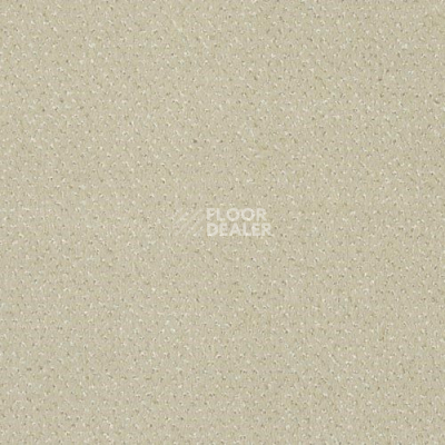 Ковролин Sintelon Orion 89339 фото 1 | FLOORDEALER