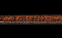 Balsan Progression 440 фото 3 | FLOORDEALER