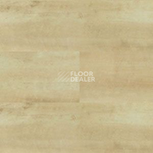Линолеум Polyflor Expona Wood 6143 фото 1 | FLOORDEALER