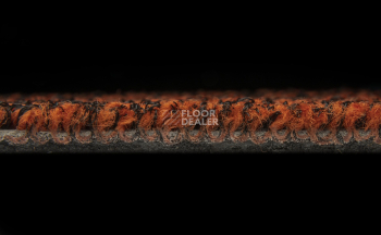 Balsan Progression 440 фото 3 | FLOORDEALER