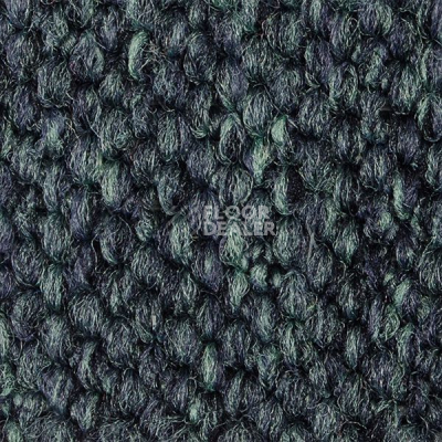 Ковролин Carpet Concept Eco Cut 54556 фото 1 | FLOORDEALER