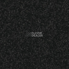 Ковровая плитка Balsan Serenite 991 фото 1 | FLOORDEALER
