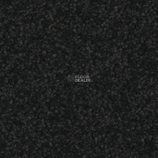 Balsan Serenite 991 фото 1 | FLOORDEALER