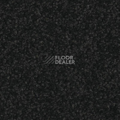 Ковровая плитка Balsan Serenite 991 фото 1 | FLOORDEALER
