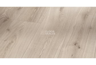 Ламинат Parador Trendtime 6 1473985 Дуб Кастель Белый Лакированный фото 1 | FLOORDEALER