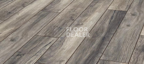 Ламинат Kronotex Aqua Amazone 10мм D3572 Дуб Портовый серый фото 1 | FLOORDEALER