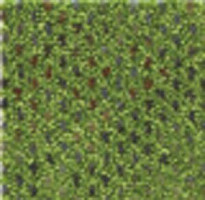 Ковролин Infloor Caprice 440 фото 1 | FLOORDEALER