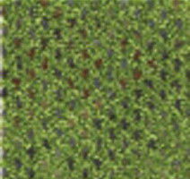 Ковролин Infloor Caprice 440 фото 1 | FLOORDEALER