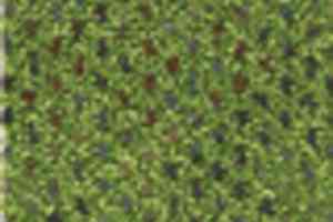 Ковролин Infloor Caprice 440 фото  | FLOORDEALER