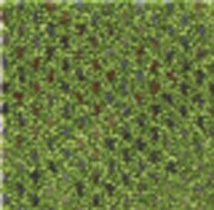 Ковролин Infloor Caprice 440 фото 1 | FLOORDEALER