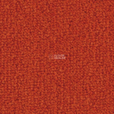 Balsan Les Best 470 фото 1 | FLOORDEALER