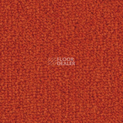 Ковролин Balsan Les Best 470 фото 1 | FLOORDEALER