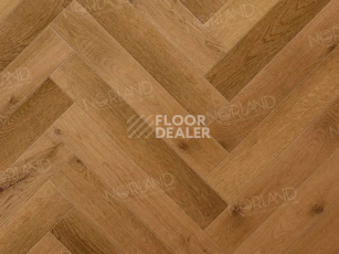 Norland Herringbone Elegant Strong 12мм LF304-13 Дуб Помона фото 5 | FLOORDEALER
