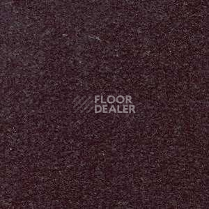 Ковролин Radici Montecarlo 85 фото 1 | FLOORDEALER