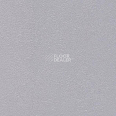 Линолеум Graboflex Gymfit 50 4000_616_3 фото 1 | FLOORDEALER