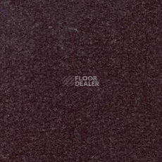 Ковролин Radici Montecarlo 85 фото 1 | FLOORDEALER