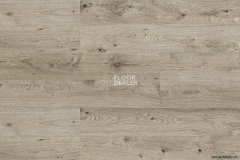 Wood замковое OAK GREY фото 4 | FLOORDEALER