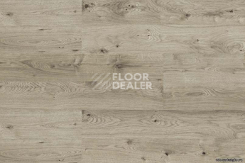 Wood замковое OAK GREY фото 4 | FLOORDEALER