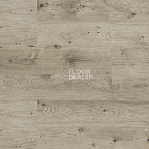 Wood замковое OAK GREY фото 4 | FLOORDEALER