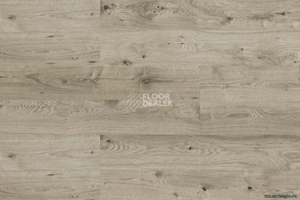 Wood замковое OAK GREY фото 4 | FLOORDEALER