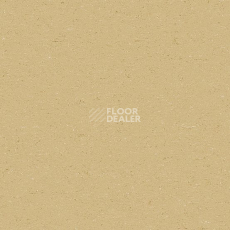 Линолеум Colorette 0071 Straw Beige фото 1 | FLOORDEALER