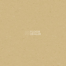 Линолеум Gerflor Colorette 0071 Straw Beige фото 1 | FLOORDEALER