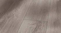 Ламинат Parador Trendtime 6 1357370 Дуб Серо-светлый 4V фото 1 | FLOORDEALER