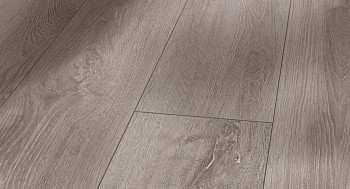 Ламинат Parador Trendtime 6 1357370 Дуб Серо-светлый 4V фото 1 | FLOORDEALER