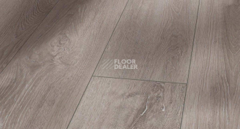 Ламинат Parador Trendtime 6 1357370 Дуб Серо-светлый 4V фото 1 | FLOORDEALER