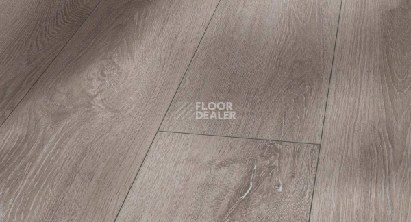 Ламинат Parador Trendtime 6 1357370 Дуб Серо-светлый 4V фото 1 | FLOORDEALER