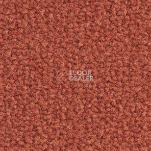 Ковролин Balsan Les Best III Les Best III 575 фото 1 | FLOORDEALER