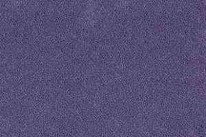 Ковролин Desso Asteranne 3111 фото  | FLOORDEALER