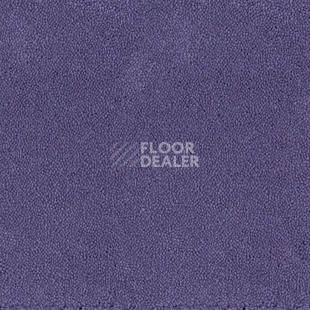 Ковролин Desso Asteranne 3111 фото 1 | FLOORDEALER