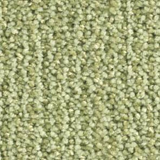 Ковролин Balsan Delice Delice 230 фото 1 | FLOORDEALER