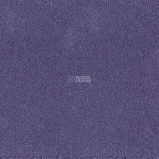 Desso Asteranne 3111 фото 1 | FLOORDEALER