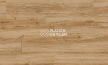 Moduleo Roots 0.40 дерево CLASSIC OAK 24837Q фото 3 | FLOORDEALER