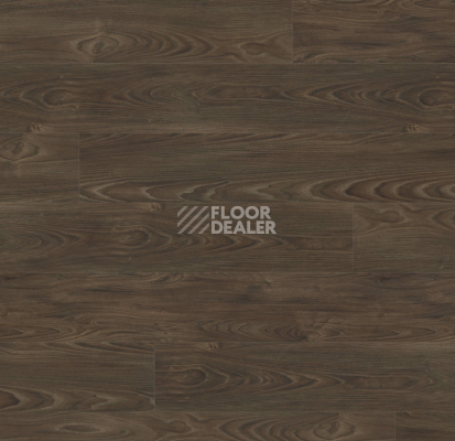 Ламинат Haro Tritty 100 Gran Via 4V Акация Варио 544747 фото 1 | FLOORDEALER