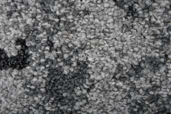 Balsan Vision Canopy to Bark 910 Zoom hd фото 4 | FLOORDEALER