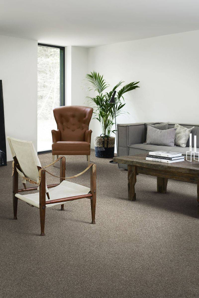 AW Invictus Atticus Atticus 49 фото 2 | FLOORDEALER