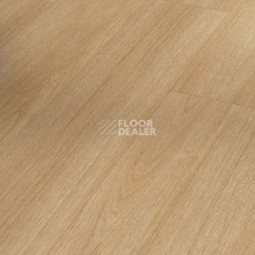 Ламинат Parador Basic Plus 400 V 1744349 Дуб Престиж Природа фото 1 | FLOORDEALER