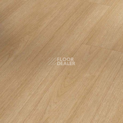 Ламинат Parador Basic Plus 400 V 1744349 Дуб Престиж Природа фото 1 | FLOORDEALER