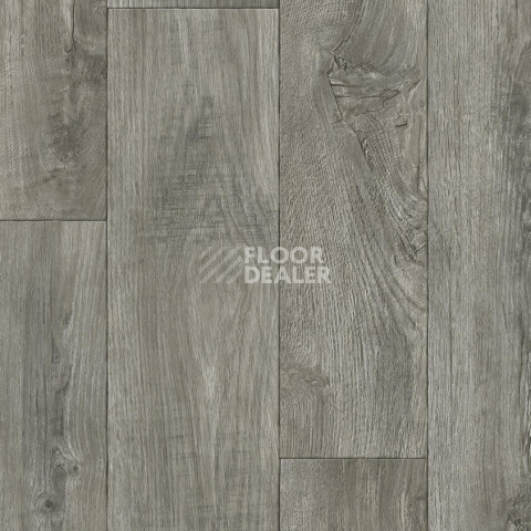 Линолеум Tarkett Gladiator DIAKIRI 3 фото 1 | FLOORDEALER