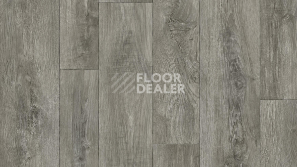 Линолеум Tarkett Gladiator DIAKIRI 3 фото 1 | FLOORDEALER