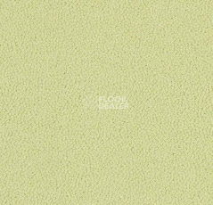 Ковровая плитка Westbond Ibond зеленая гамма 9837 фото 1 | FLOORDEALER