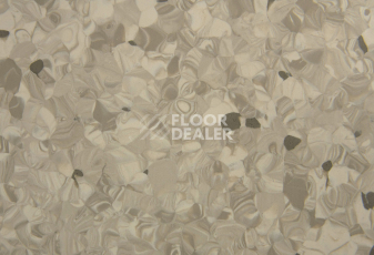 Tarkett Primo Plus 313 фото 2 | FLOORDEALER