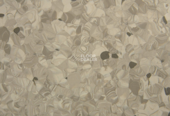 Tarkett Primo Plus 313 фото 2 | FLOORDEALER