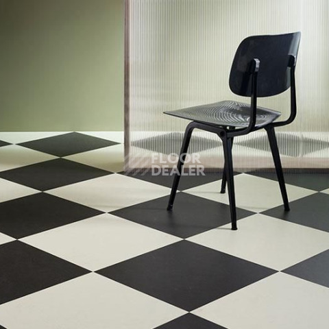 Forbo Marmoleum Modular t3722 stardust фото 3 | FLOORDEALER
