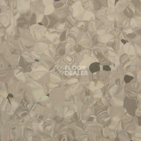 Tarkett Primo Plus 313 фото 2 | FLOORDEALER