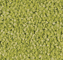 Ковролин Sintelon Spark 50554 фото 1 | FLOORDEALER